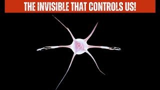The Microbe Apocalypse: How Tiny Creatures Will Either Save or Destroy Us!