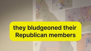 Idaho Rep. Lauren Necochea explains why Idaho House Republicans removed their own Leader