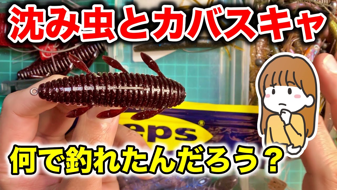 色々人気ルアーがある中で沈み虫やカバースキャットって何で釣れたんだろう？と考えてみた