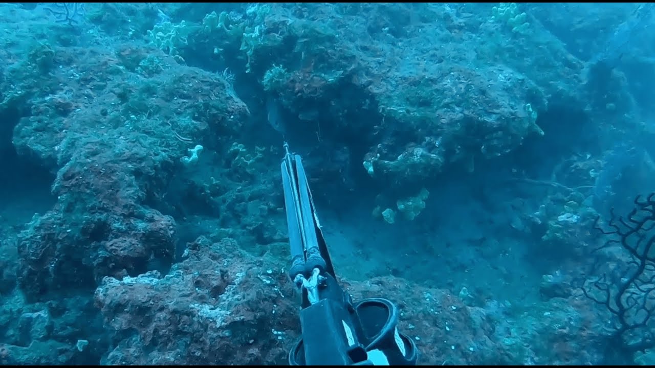 BEYOND 40M "Huge pain, few gain". Mediterranean spearfishing YouTube