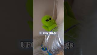 Download Lagu UFO sightings reported in NY #dog #cute #UFO #fypシ #samoyed #husky #doglove #pets #halloween MP3