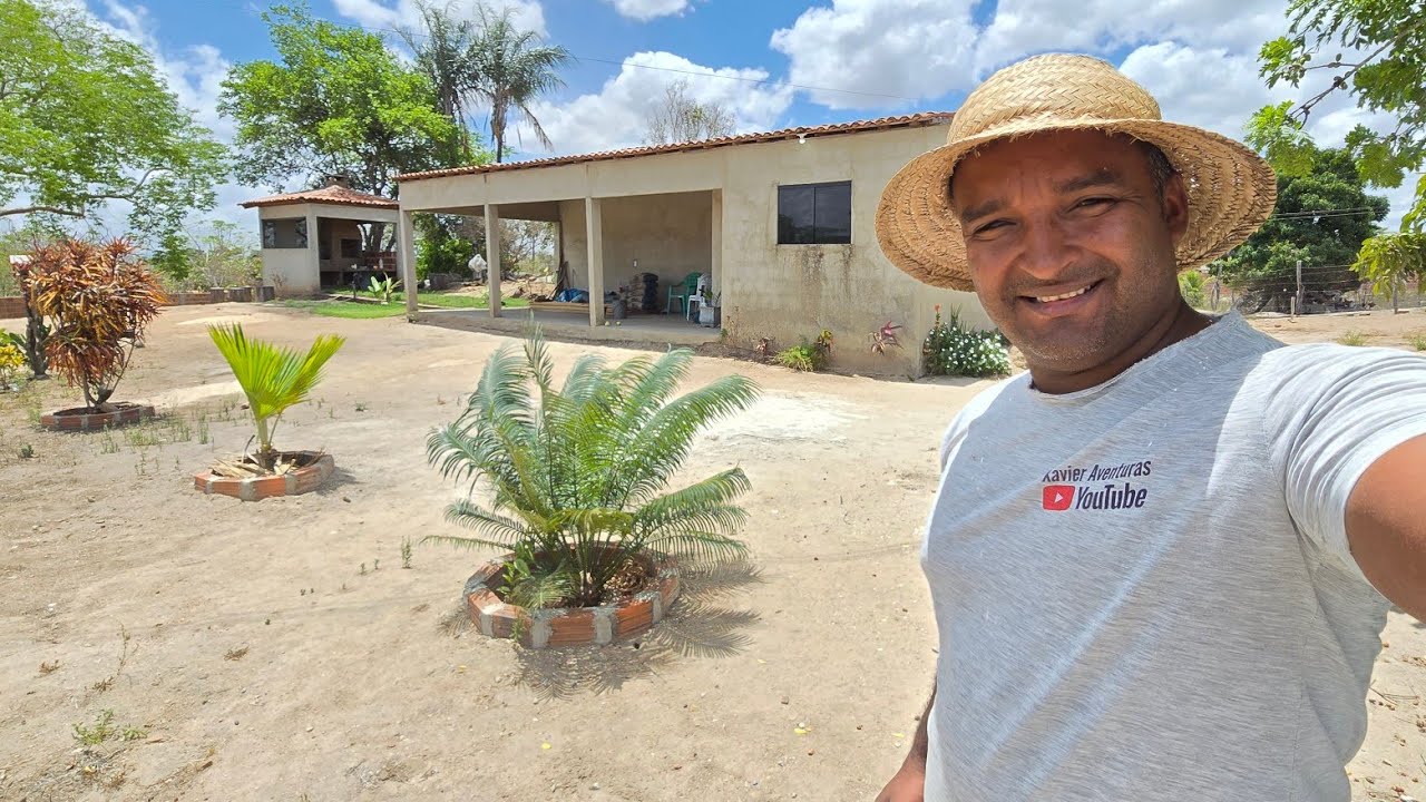 A FALTA DE CHUVA NA REGIÃO NOS DEIXA PREOCUPADO VEJA COMO ESTÁ A SITUAÇÃO DAS PLANTAS NO SÍTIO