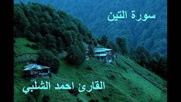 سورة التين للقارئ احمد الشلبي