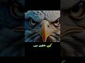 Why Did Allama Iqbal Compare Us to an Eagle? The Truth Will Shock You! 😱 #motivation #eagle #shorts