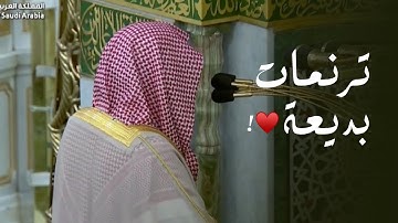 ترنمات بديعة وأداء رفيع مميز لآخر سورة النساء | د. عبدالله القرافي عشاء الخميس 3-4-1447هـ