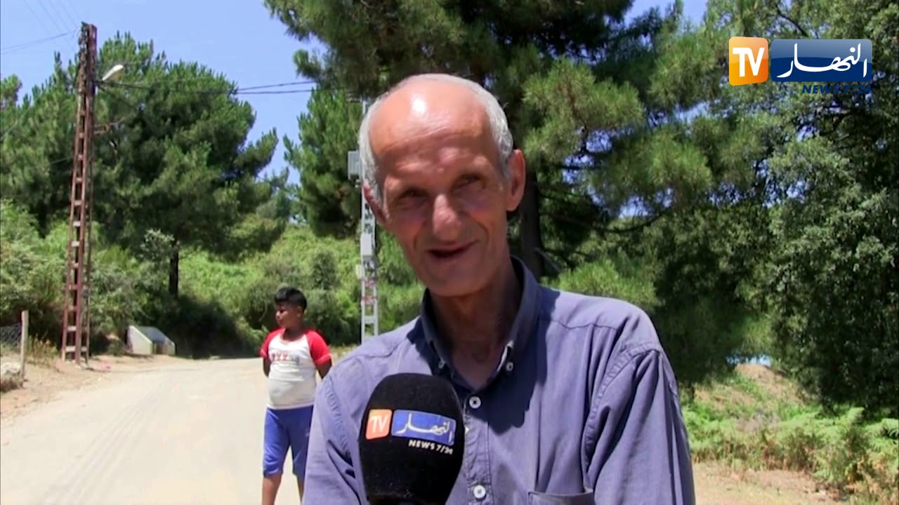 سكيكدة: إصابة 3 أشخاص بعد هجوم كلب ضال بقرية 