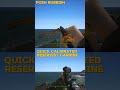 Vintage Weapons Bundle : posh rubbish and quick calibrated reservist carbin