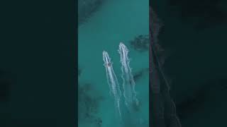 Best Places to Visit in the ARGENTINA - Mar del Plata #part2