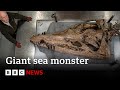 Colossal sea monster unearthed in uk  bbc news