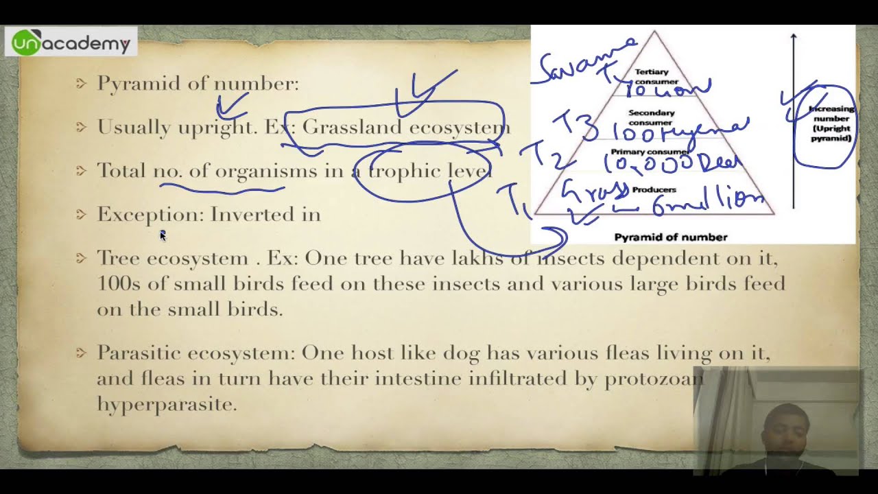 UPSC IAS: High Yield Series: Environment and Ecology Part 1.7 IAS Preparation