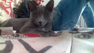 Teste camera sport proline darty 59e screenshot 5