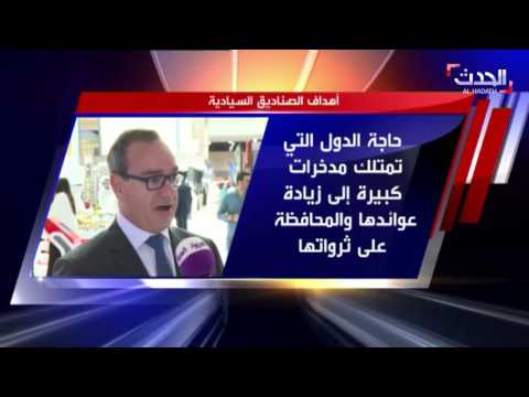 ما هي الصناديق السيادية
