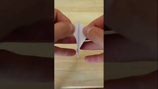 Make Your Own Seed Envelope-Super Easy