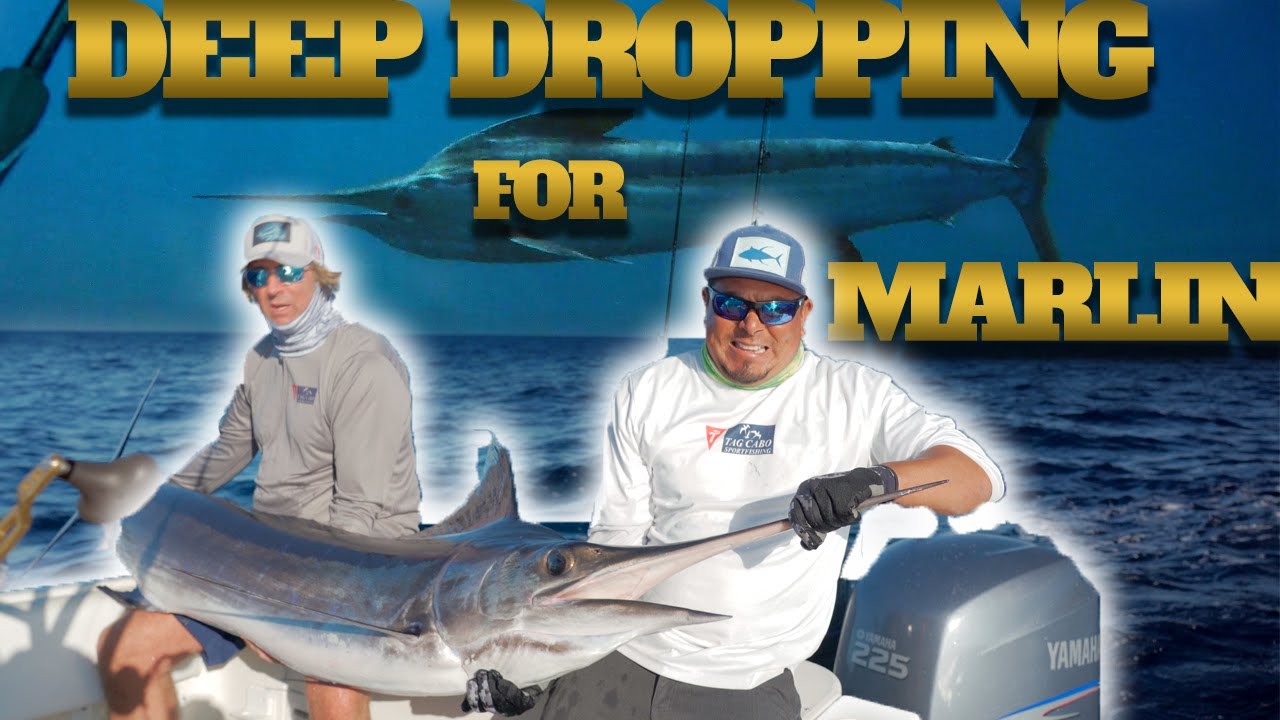 Deep Dropping & Fly Fishing in Cabo San Lucas: Striped Marlin & Inshore Adventures