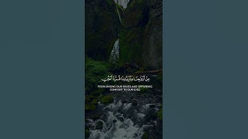 والذين إذا ذكروا بآيات ربهم لم يخروا عليها صمًا وعميانًا #اكسبلور #fyp #explore #quran #قرآن