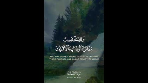 تلاوة مباركة خاشعة بصوت يلامس القلوب #اكسبلور #المصحف #القران #حالات_واتس #خطبه #لايك #راحة_نفسية