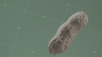 Peanut rotating with loop on green screen for chroma key