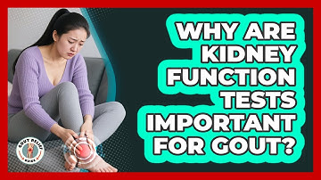 Why Are Kidney Function Tests Important For Gout?