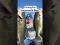 Fishing for Texas Largemouth Bass! #bassfishing #largemouthbass #mysterytacklebox #fishingvideo