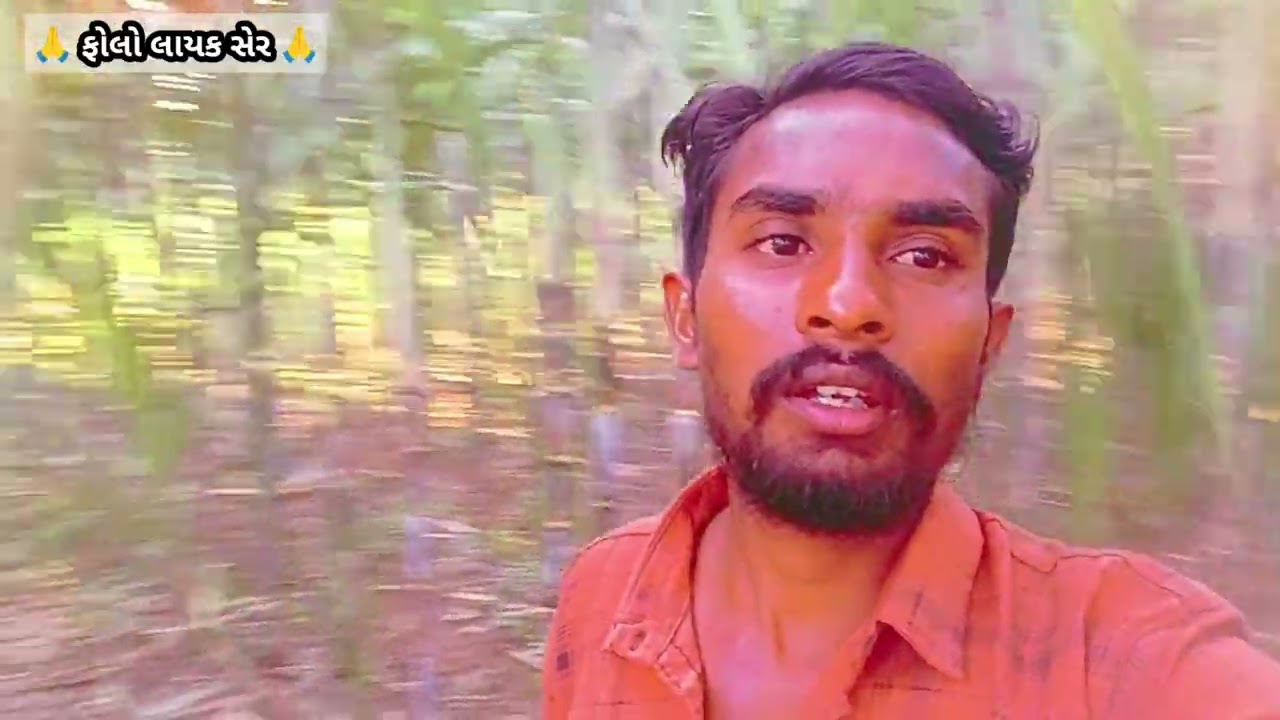 ઉતરાયણ ની સેફ્ટી પશુ પક્ષીઓ ની ખેડુતોની gujrati vlog 1m spot 