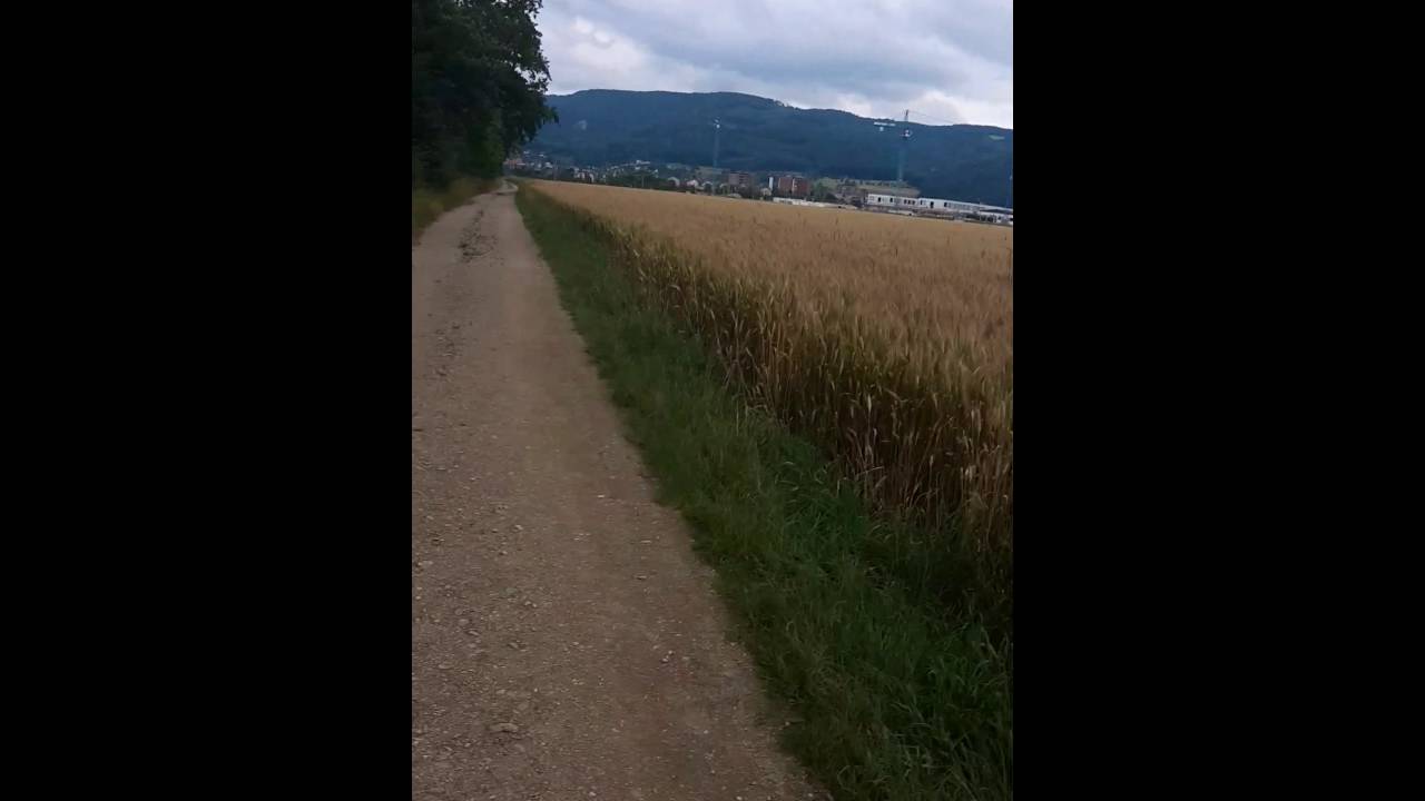Reinach Switzerland