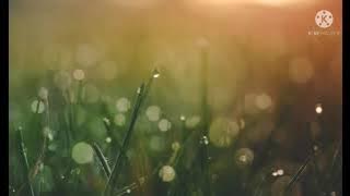 شاب فيناني: ديجا بكيت