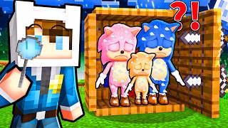 BEBEK SONİC AİLESİNİ KİM ÖLDÜRDÜ? 😱 Minecraft