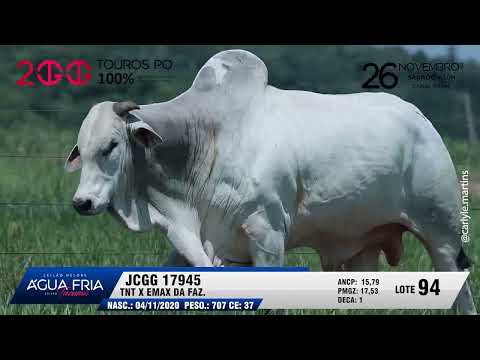 LOTE 94   JCGG 17945