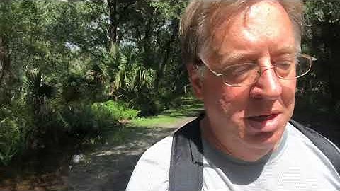 Agile Project Management - Leadership In A Complex (VUCA) World