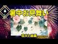 【暑中見舞い動画】花火と朝顔で涼を送る無料カード lineで夏のご挨拶