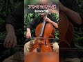 もののけ姫『アシタカせっ記』を弾いてみた | Princess Mononoke - Ghibli Cello cover - #shorts
