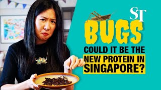 Will bugs be Singapore's new protein? screenshot 5