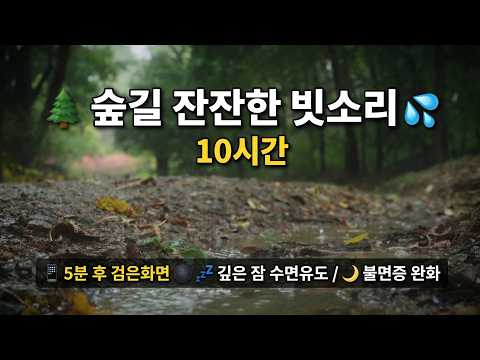 숲길 잔잔한 빗소리 10시간 (5분 후 검은화면) 깊은 잠을 위한 수면유도 ASMR, 불면증 완화, 화이트노이즈
