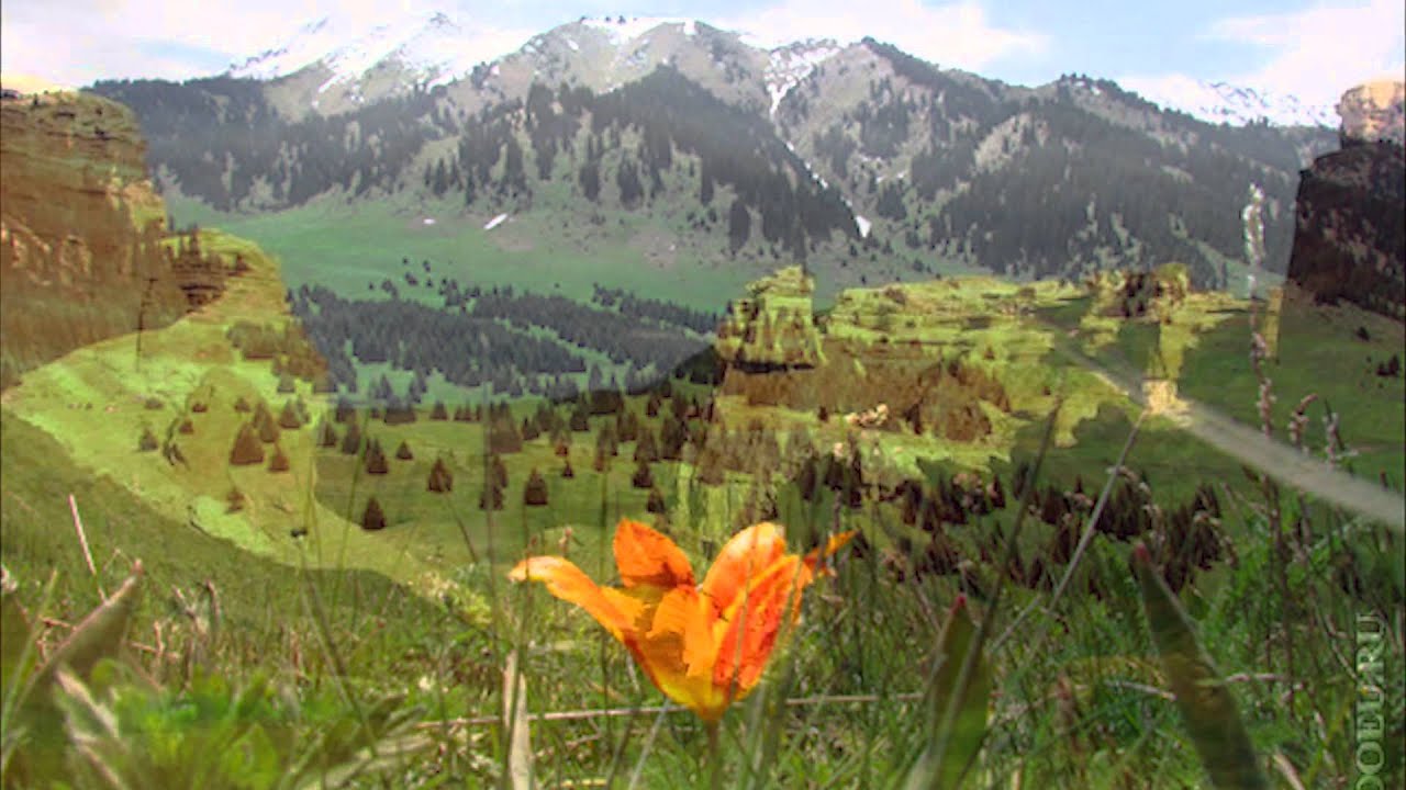 Жер Жанаты Жетису