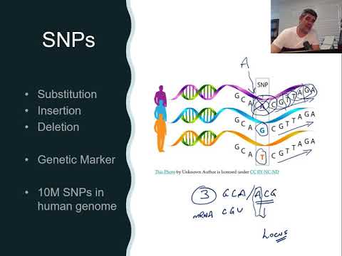 Snp Slender What Are Snp Patterns Human Genetics
