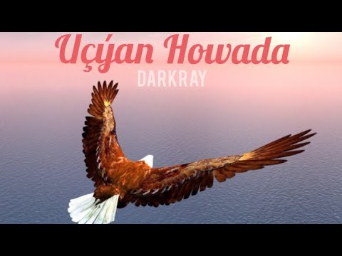 DarKraY _  Uchyan Howada tmrap 2022