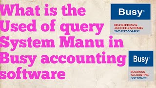 What is the used of query system Manu in Busy accounting software screenshot 5