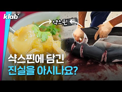 한 해 1억 마리의 상어가 인간에 의해 사라지고 있다｜크랩