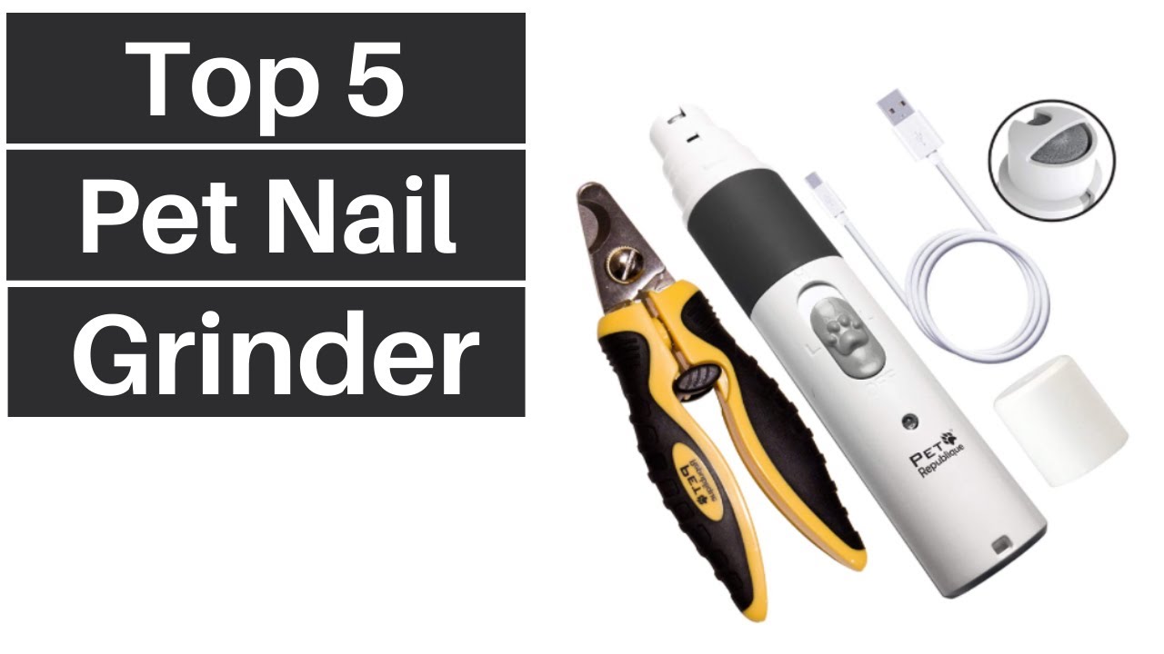 Top 5 Best Pet Nail Grinder | Amazing Review And Buying Guide