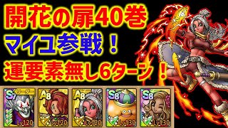 【ドラクエタクト】開花の扉40巻 マイユ参戦！運要素無し6ターン攻略！特技習得不要！立ち回り解説