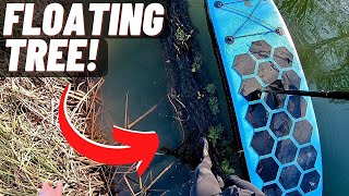 WALKING along a FLOATING TREE! (Almost a FAIL!) Stand up paddle board adventures (SUP) #shorts