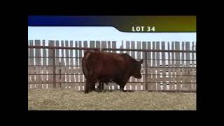Lot 34 -Howe 2019.m4v