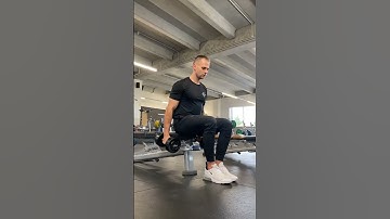 Seated Alternate Dumbbell Hammer Curls