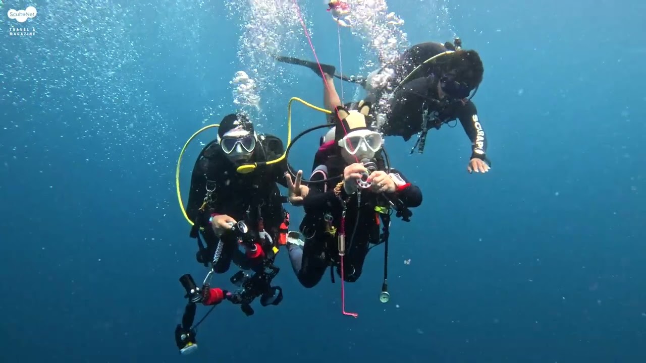 2025년 6월  사방비치 다이빙 EP3 -  캐년 다이빙 - 조류있고 없고의 차이