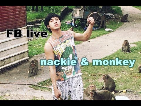 เเน๊คกี้ & monkey FB live Cr. FB Nophadon Nackie Damrong