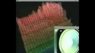 Das Modul - 1100101 (VHS Rip VIVA TV ) HD WDS