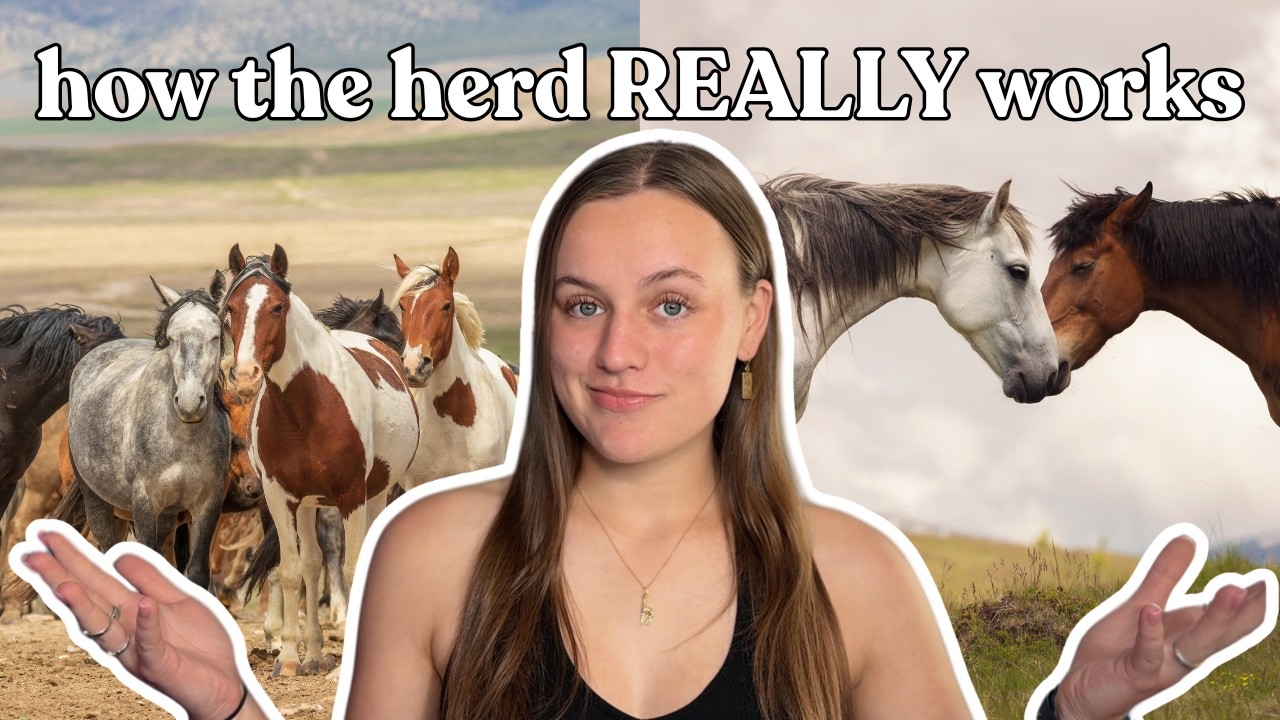 Equine Dominance Theory DEBUNKED!