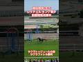 湯浜特別2025出走サクラファレルがレイチェル.キング騎手騎乗!キング騎手は函館初勝利! #競馬 #函館競馬場 #中央競馬予想 #horse #キングニキ