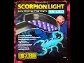 Exo terra scorpion light review