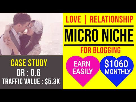 Earn $1060 through Blogging | Love & Relationship Micro Niche with Low DR  Niche Website Case study